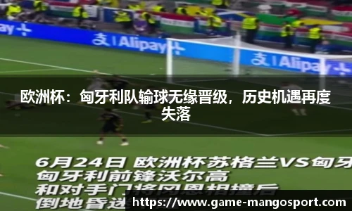 欧洲杯：匈牙利队输球无缘晋级，历史机遇再度失落