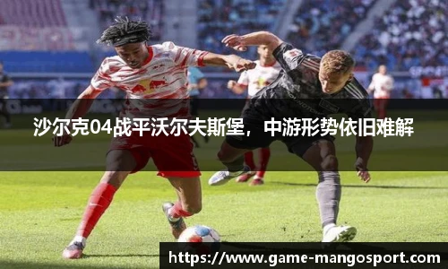 沙尔克04战平沃尔夫斯堡，中游形势依旧难解