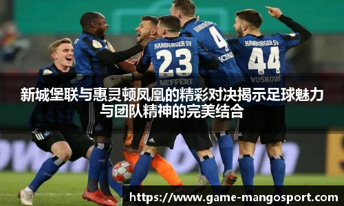 新城堡联与惠灵顿凤凰的精彩对决揭示足球魅力与团队精神的完美结合